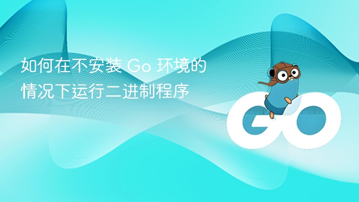 不装Go环境，直接运行二进制程序方法