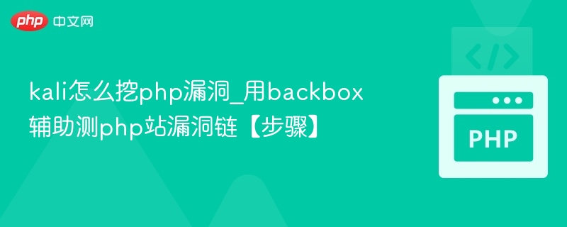 Kali挖PHP漏洞步骤详解