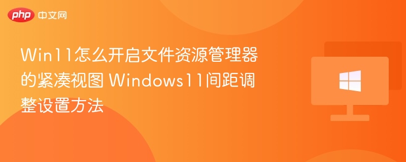 Win11怎么开启文件资源管理器的紧凑视图 Windows11间距调整设置方法