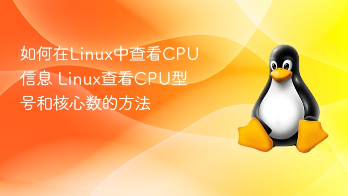 如何在Linux中查看CPU信息 Linux查看CPU型号和核心数的方法