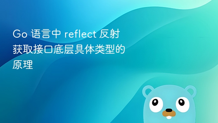 Go 语言中 reflect 反射获取接口底层具体类型的原理