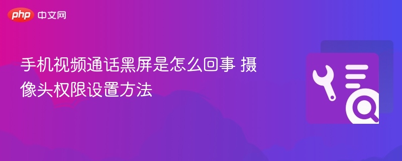 手机视频通话黑屏是怎么回事 摄像头权限设置方法