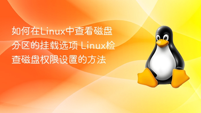Linux查看磁盘挂载选项与权限设置方法