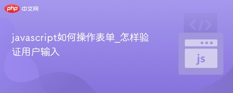 JavaScript表单操作与输入验证详解