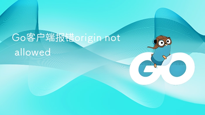 Go客户端报错 origin not allowed 解决方法