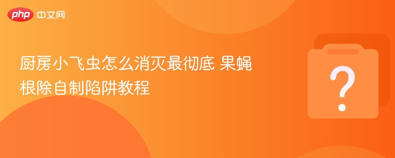 厨房果蝇根除方法及自制陷阱教程