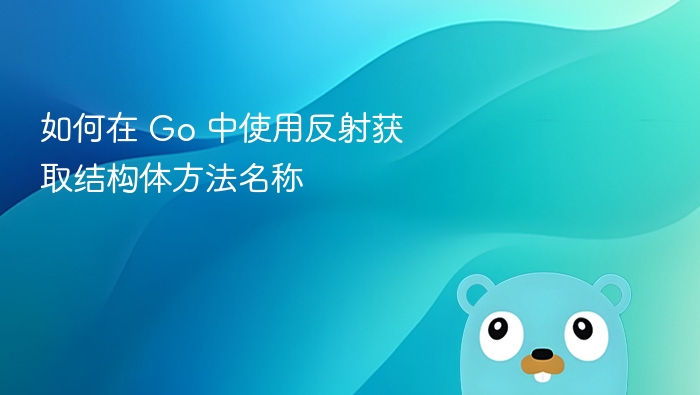如何在 Go 中使用反射获取结构体方法名称
