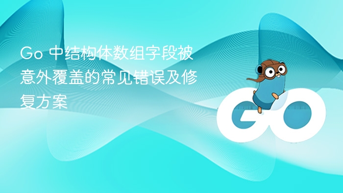 Go 中结构体数组字段被意外覆盖的常见错误及修复方案
