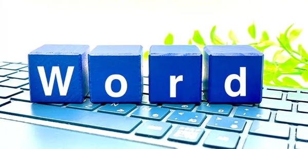 Word设置文档属性与隐私清理方法