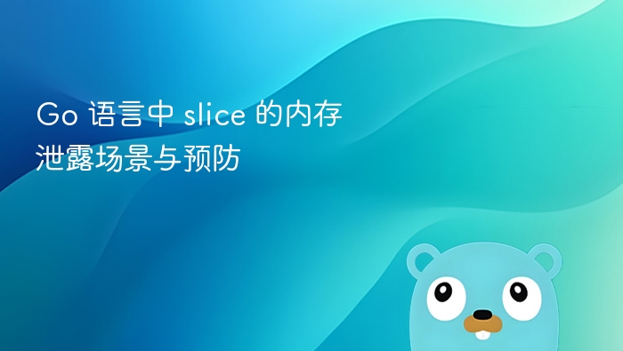 Go 中 slice 内存泄漏问题及防范方法