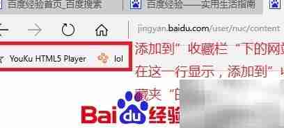Edge导入收藏夹显示异常