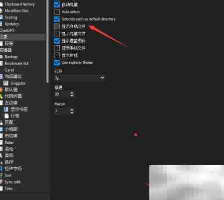 Text Editor Pro关闭存档显示方法