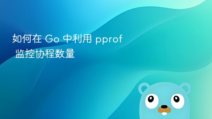 Go中如何用pprof监控协程数