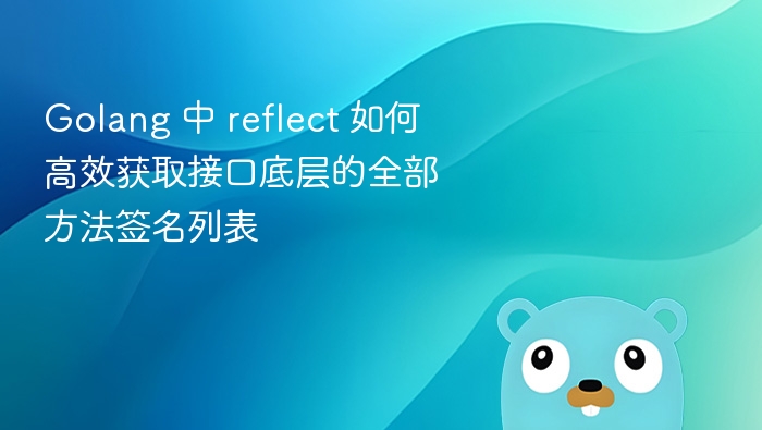 Golang 中 reflect 如何高效获取接口底层的全部方法签名列表