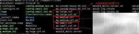 MySQL绿色版安装指南