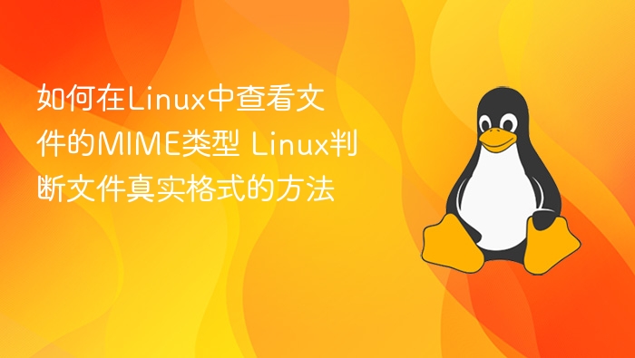 Linux查看文件MIME类型及真实格式方法