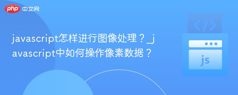 javascript怎样进行图像处理?_javascript中如何操作像素数据?
