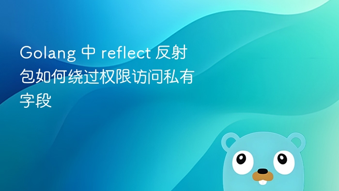 Golang反射访问私有字段方法详解