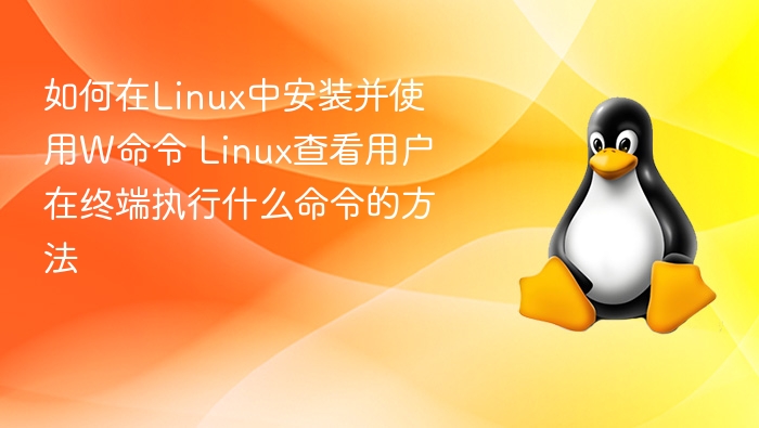Linux下W命令查看用户操作详解