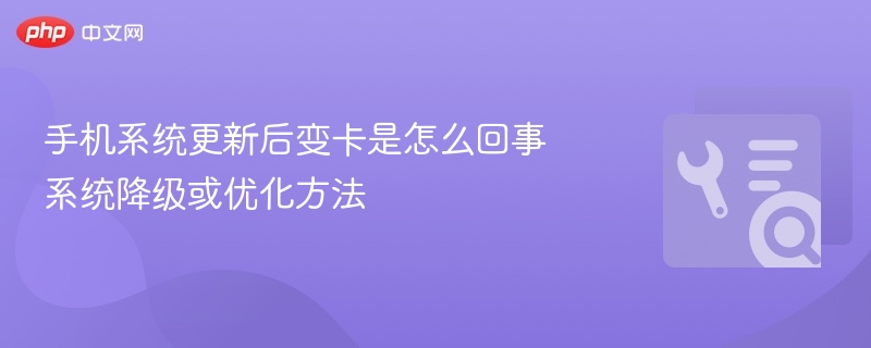 系统更新后变卡？手机优化全攻略
