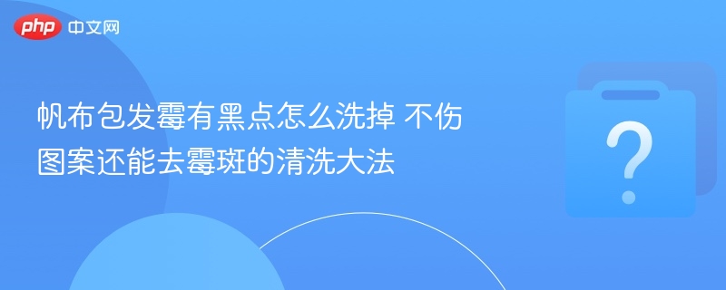 帆布包发霉黑点怎么洗？去霉不伤图案的妙招