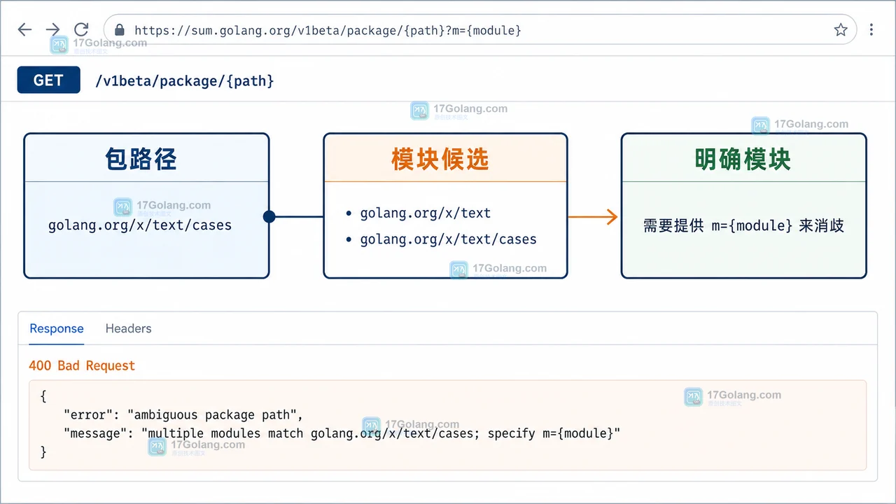pkg.go.dev API 刚开放，Go 项目如何避开模块路径歧义？