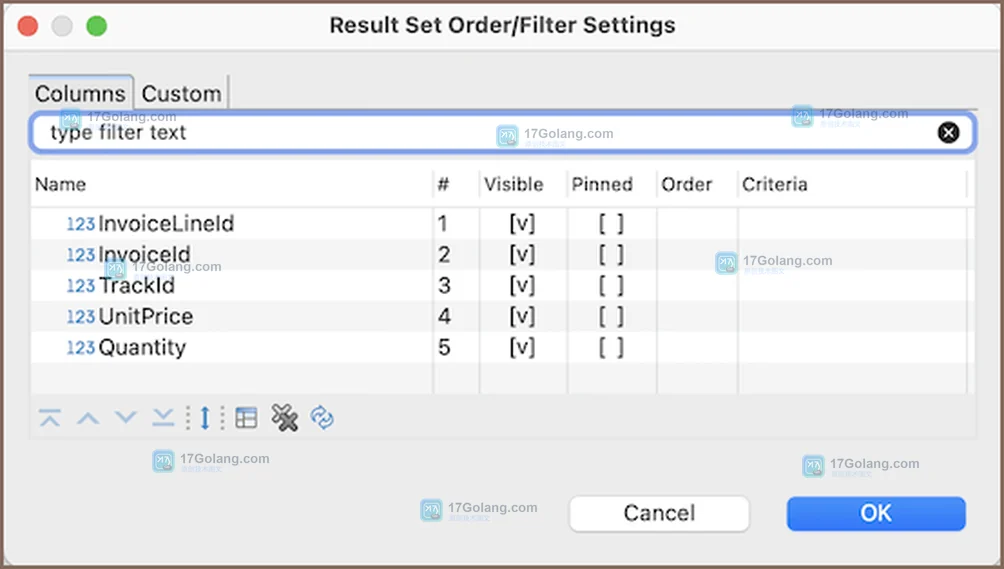 DBeaver Result Set Order/filter Settings 管理条件排序和列可见性的真实界面