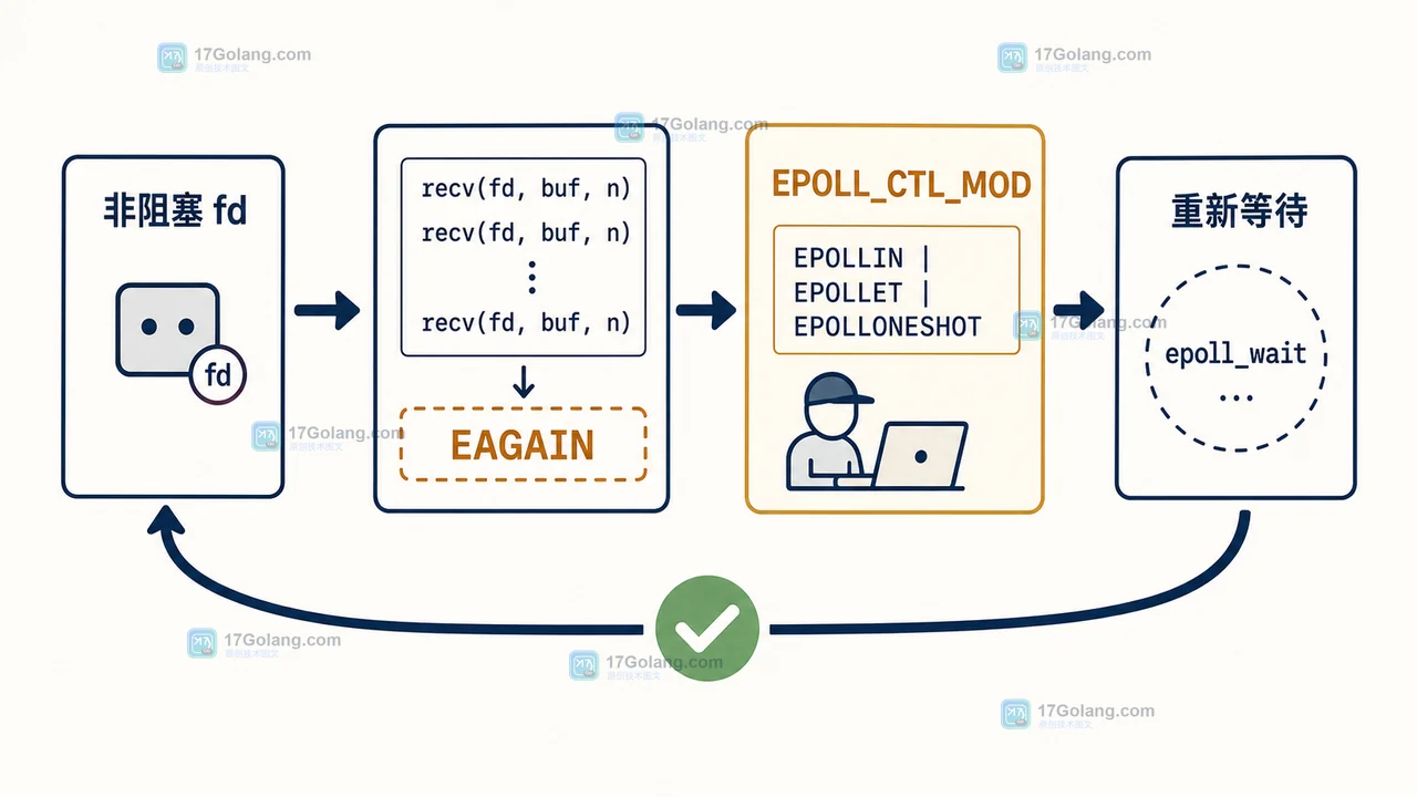 EPOLLONESHOT 处理完成后通过 EPOLL_CTL_MOD 重新 arm 并回到 epoll_wait 的等待链示意图
