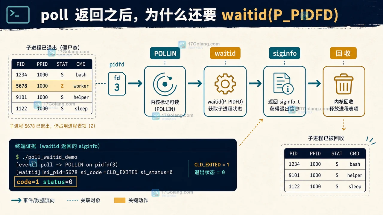 Linux poll 退出通知进入 waitid(P_PIDFD) 状态读取和回收的控制台证据流程