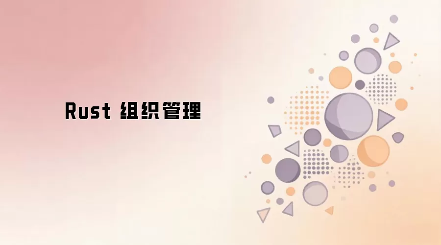 Rust 组织管理