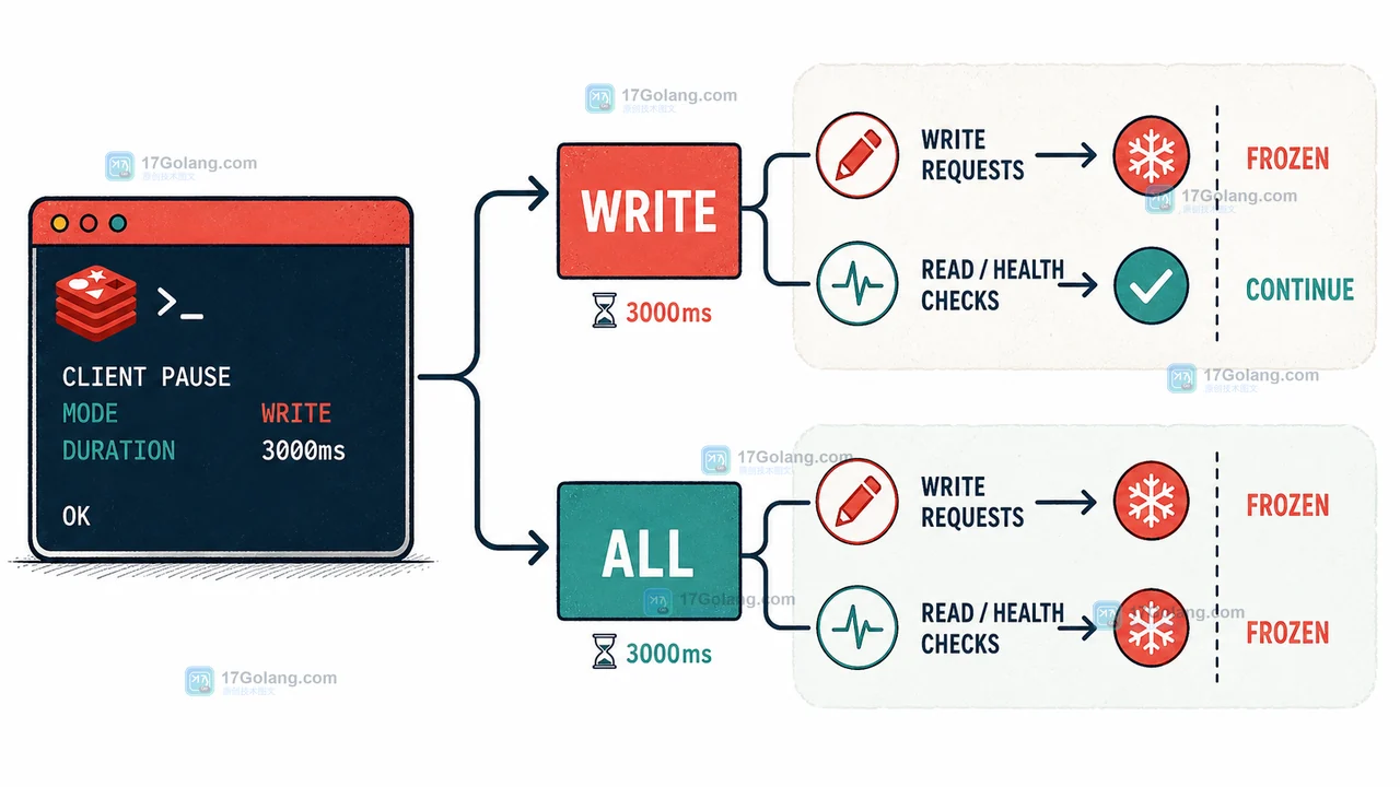Redis CLIENT PAUSE 为什么会让请求短暂停顿：WRITE、ALL 与 TIMEOUT 验证