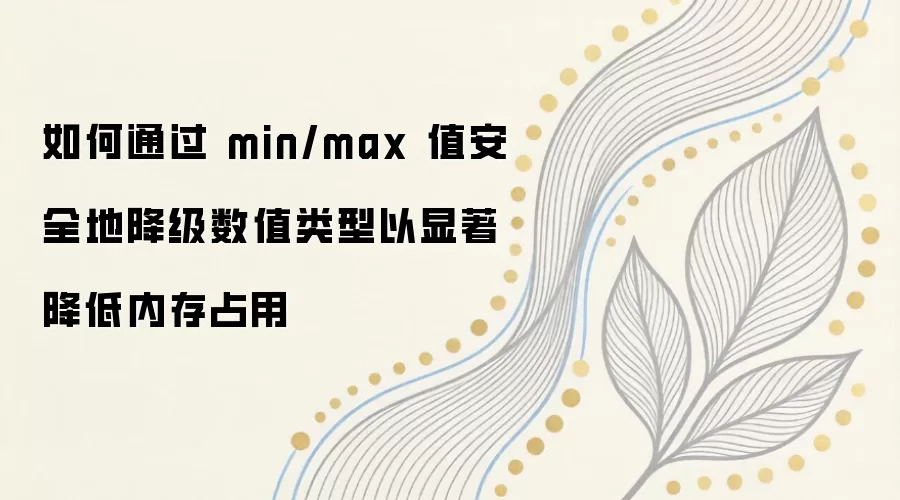 如何通过 min/max 值安全地降级数值类型以显著降低内存占用