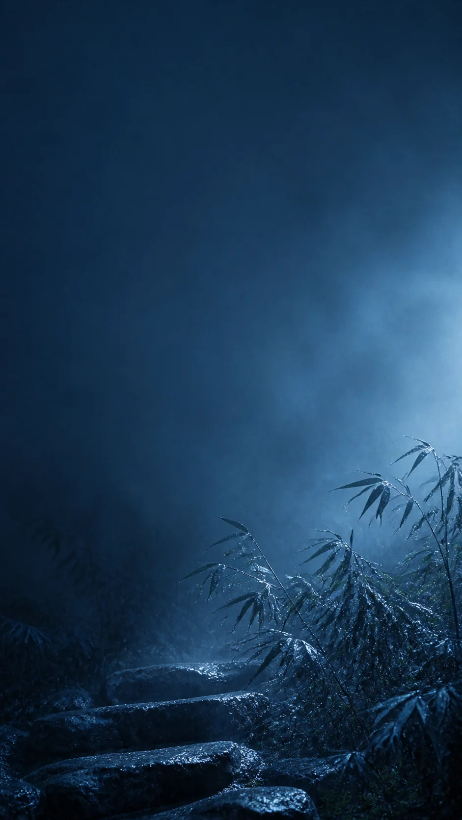 雾蓝夜雨中的低位竹影竖屏手机壁纸，上方保留冷色锁屏留白