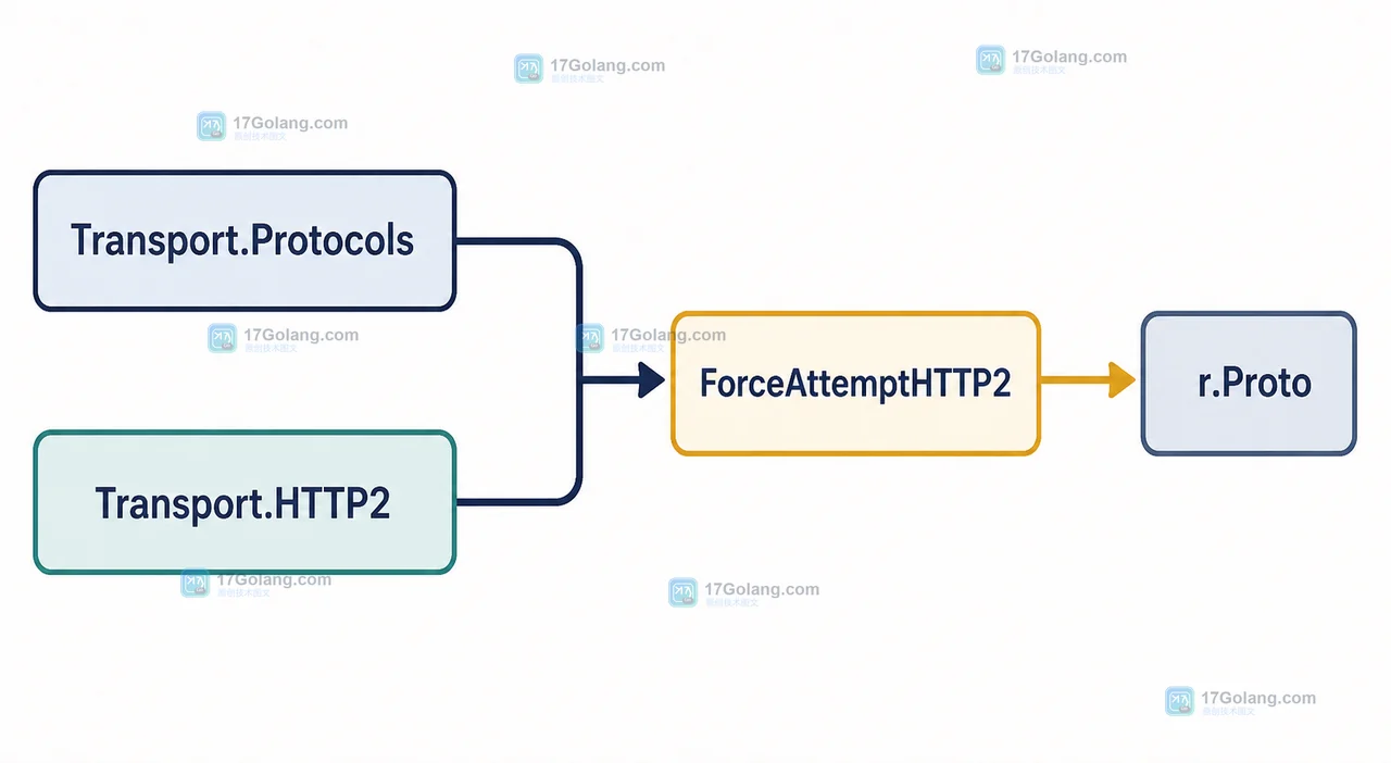 Go net/http HTTP2Config 怎么控制 HTTP/2：协议启用、并发流与兼容验证