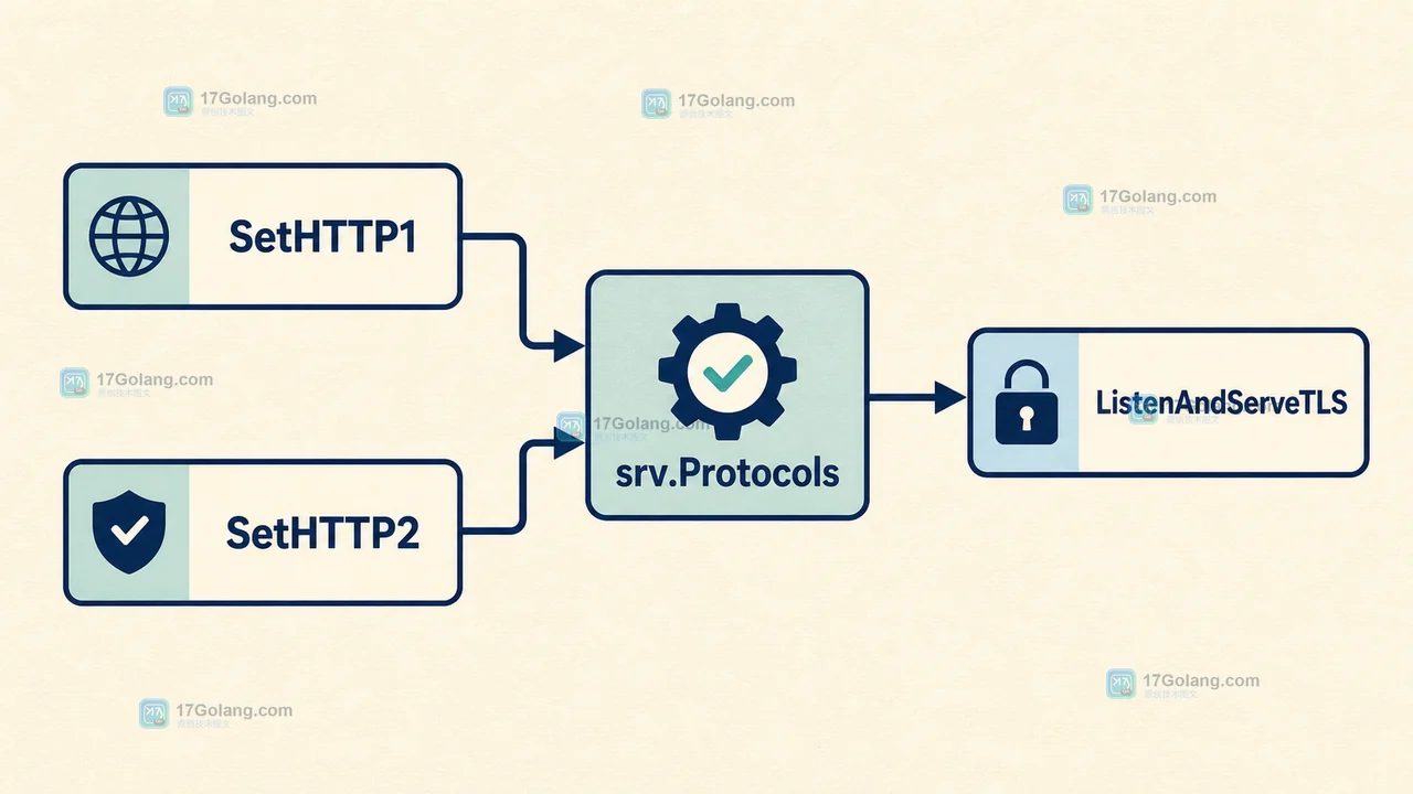 Go Server Protocols 由 SetHTTP1 和 SetHTTP2 组成协议集合的关系图
