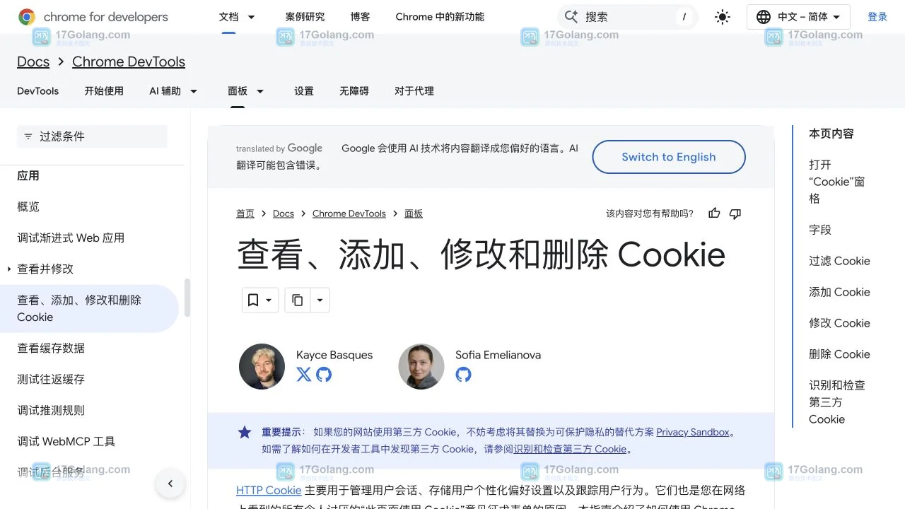 Chrome 官方 DevTools 文档展示应用、存储、Cookie入口路径