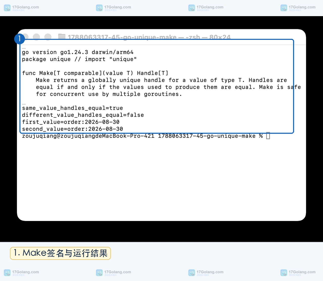 Go unique.Make 如何复用重复值：唯一句柄、值比较与垃圾回收边界