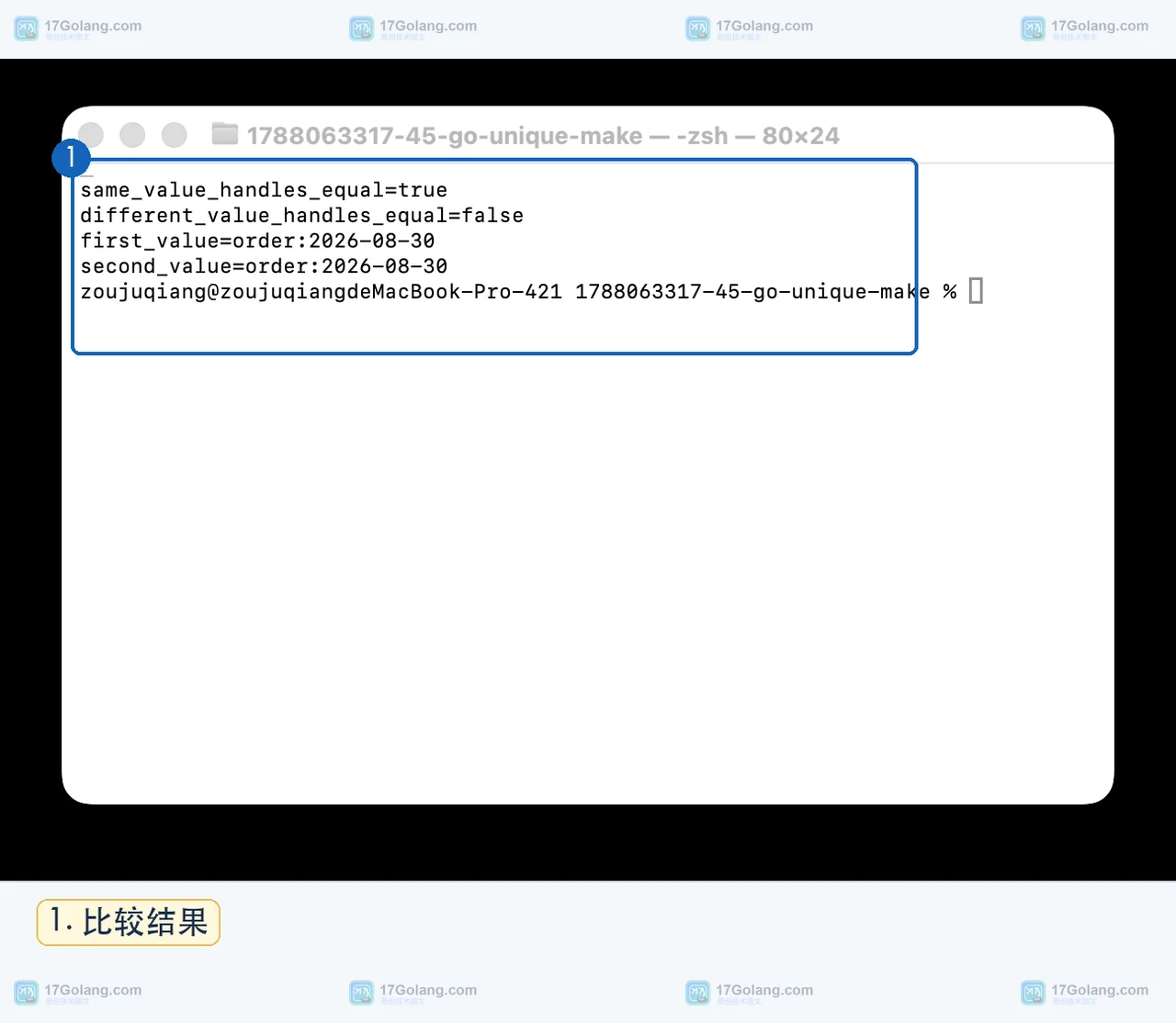 Go unique.Make 运行结果显示相同订单日期生成的 Handle 相等