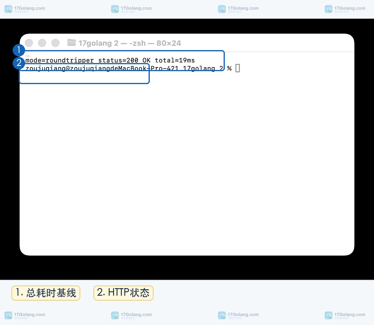 Go RoundTripper 示例在真实终端输出 HTTP 200 和请求总耗时