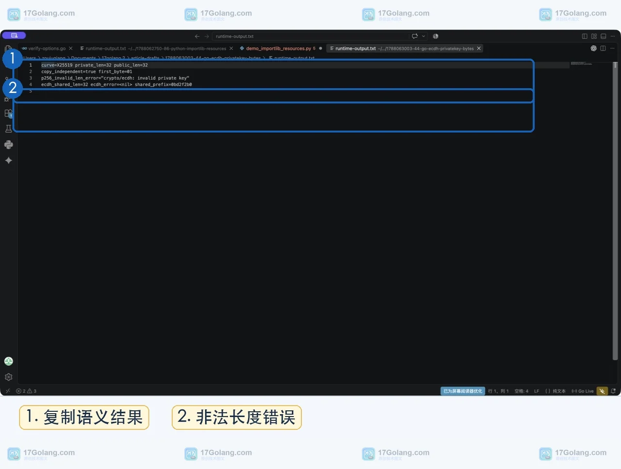 Go 运行输出显示 X25519 长度、复制独立性和 P-256 非法密钥错误