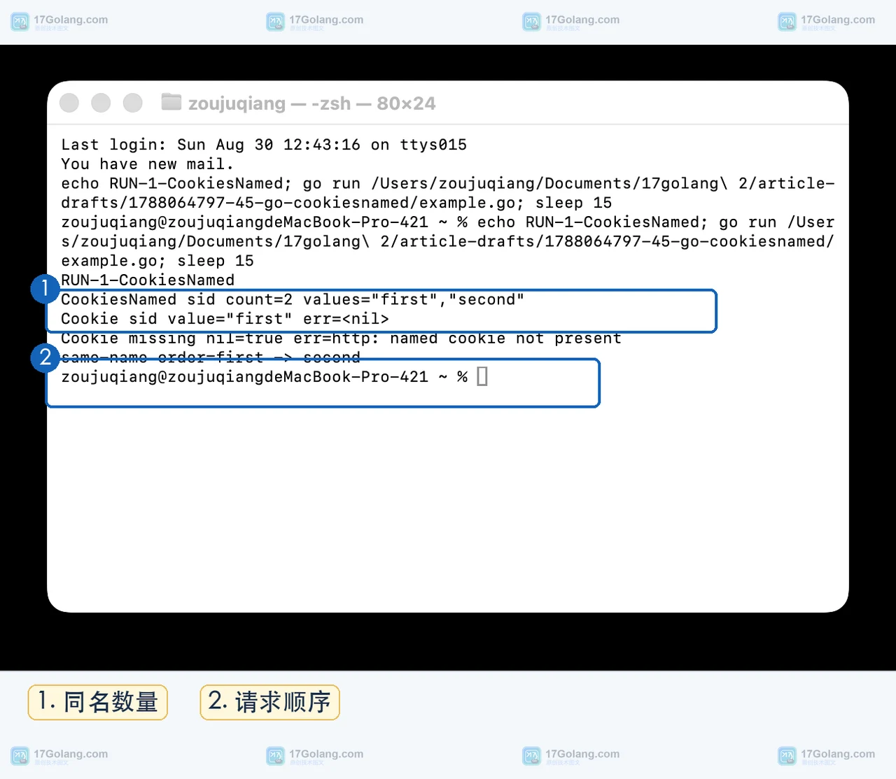 Go net/http.Request.CookiesNamed 怎么筛选同名 Cookie：返回切片与请求头顺序