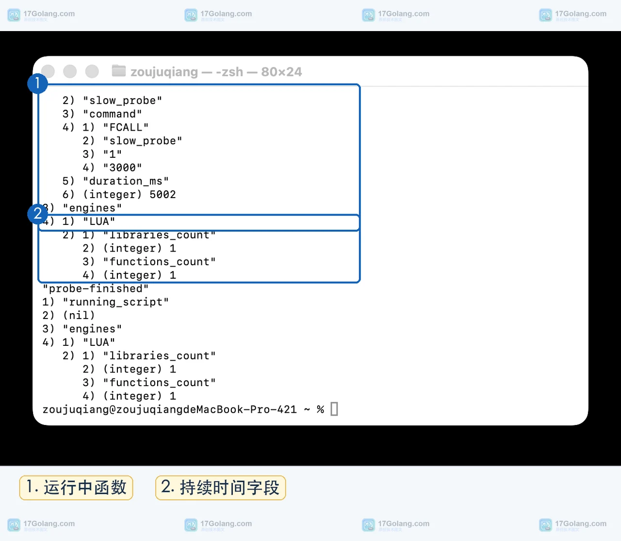 Redis 终端中 FUNCTION STATS 返回 slow_probe、FCALL 命令和 duration_ms 的运行中状态