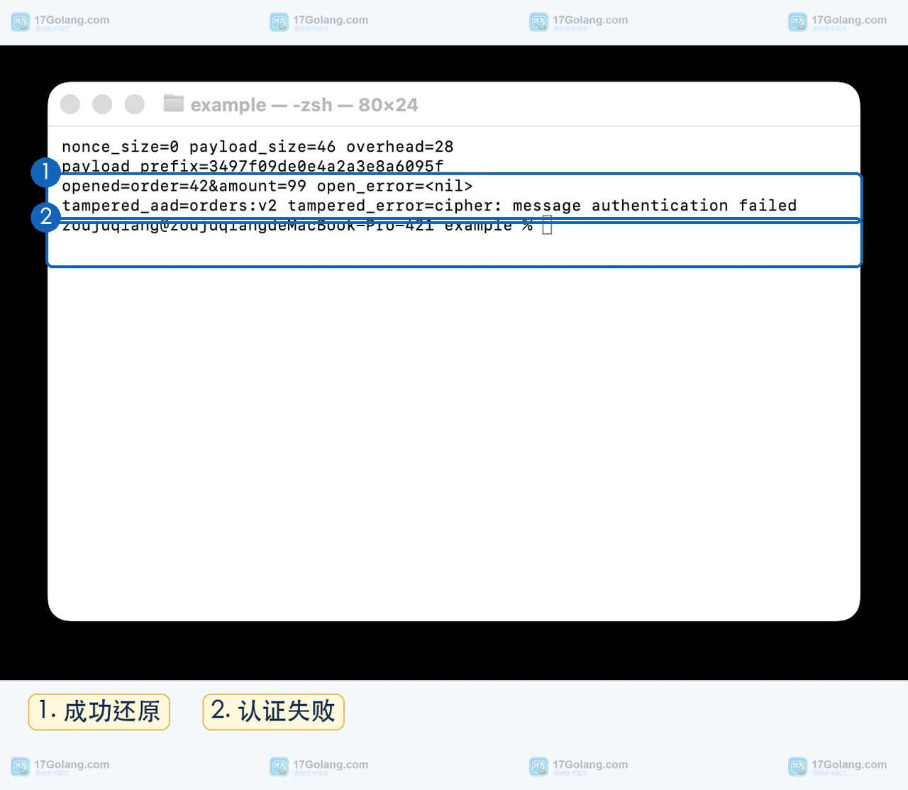 Go crypto/cipher NewGCMWithRandomNonce 如何自动生成 nonce：密文布局、Open 与迁移检查