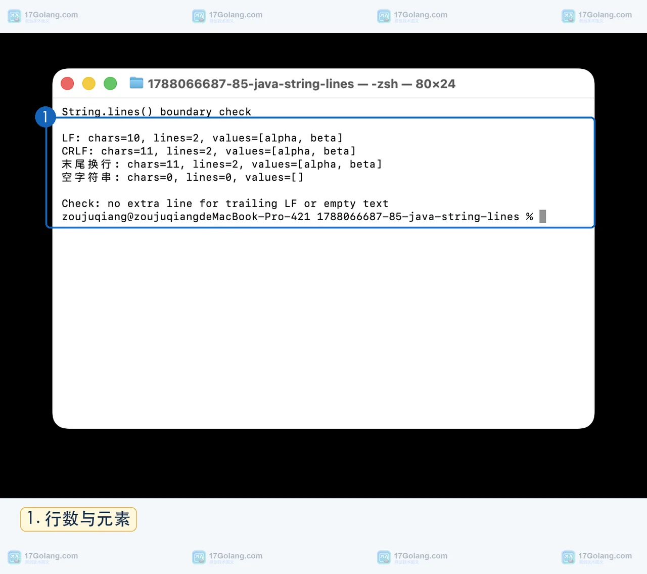Java String.lines 真实终端输出中四种输入的字符数、行数和列表结果