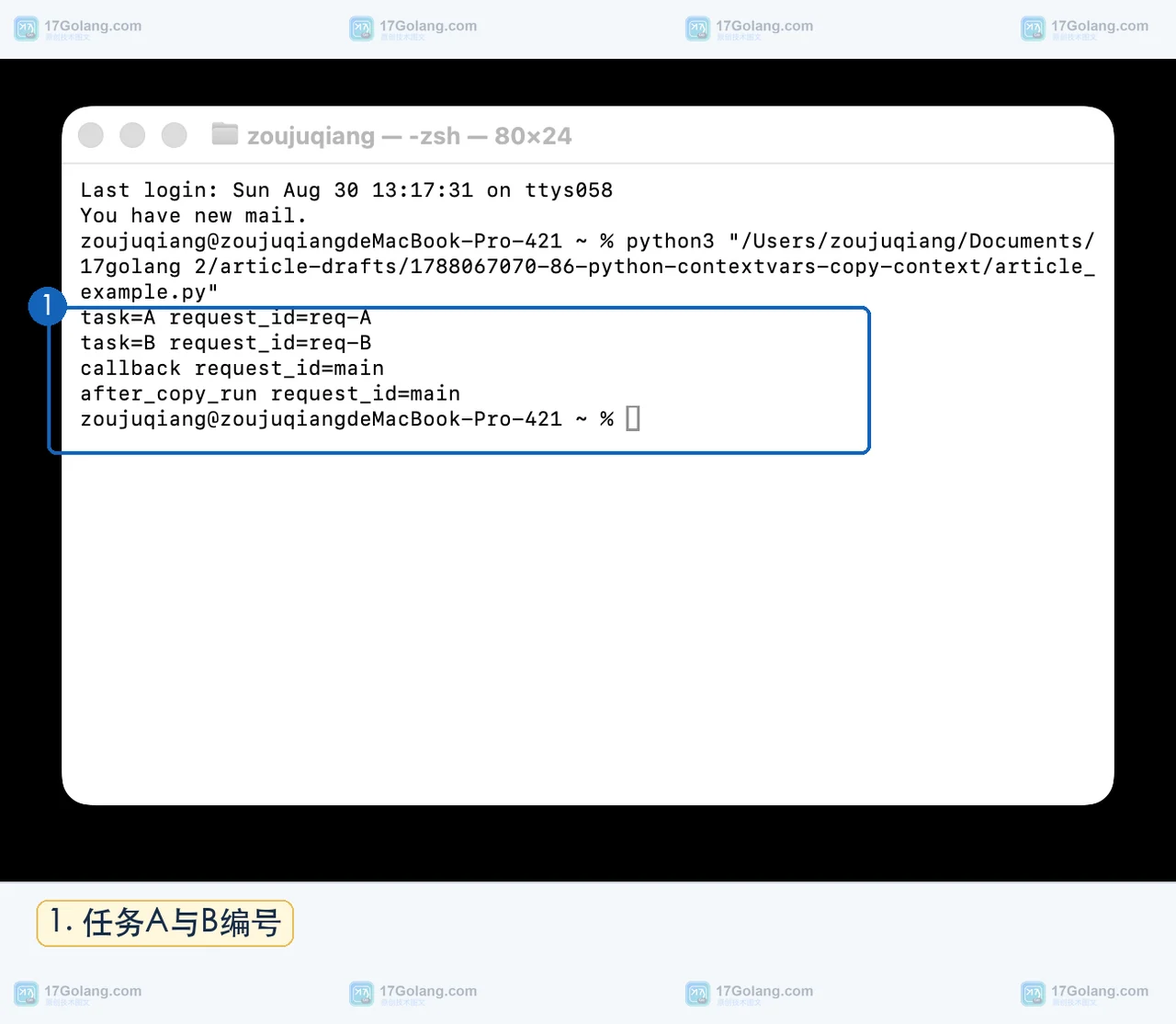 Python asyncio 两个任务分别输出 req-A 与 req-B 的真实终端结果