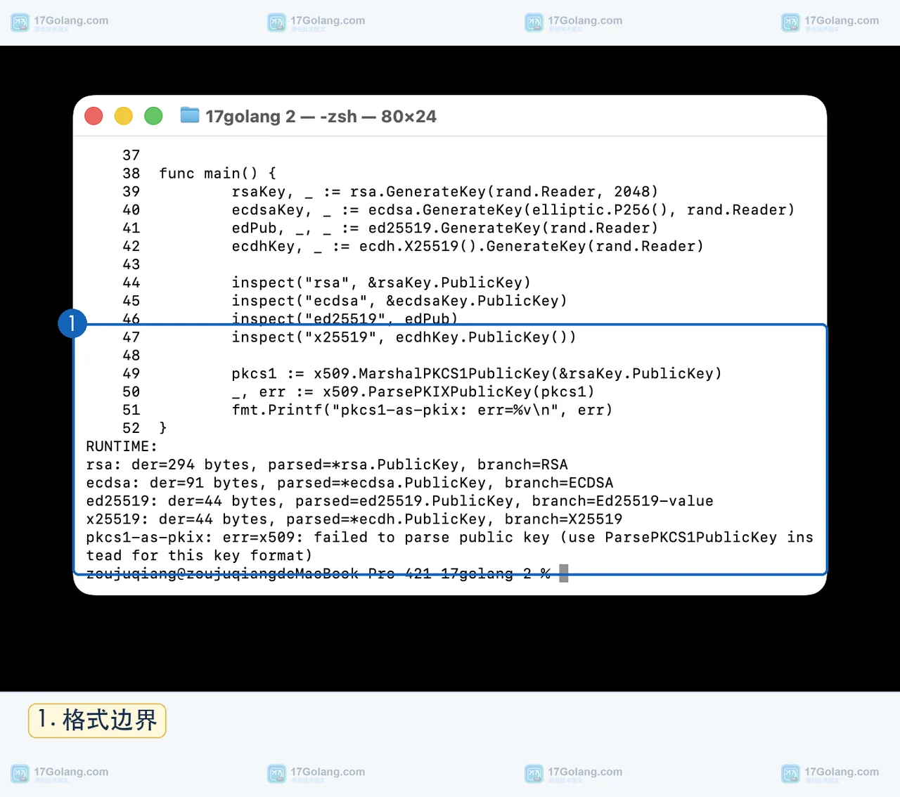 Go crypto/x509.ParsePKIXPublicKey 如何判断公钥类型：接口断言、DER 输入与算法边界