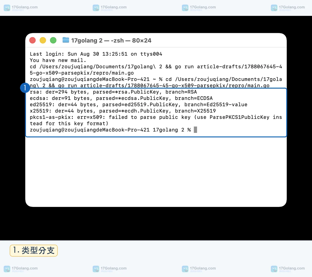 Go crypto x509 ParsePKIXPublicKey 真实终端显示四类公钥的 DER 长度和动态类型分支
