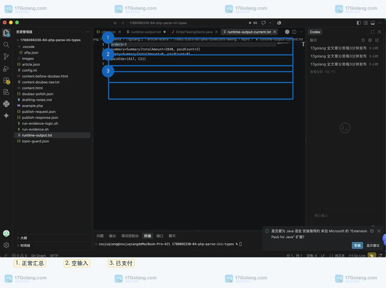 VS Code 中 Java 示例的真实运行输出显示正常汇总、空输入零值和已支付订单编号