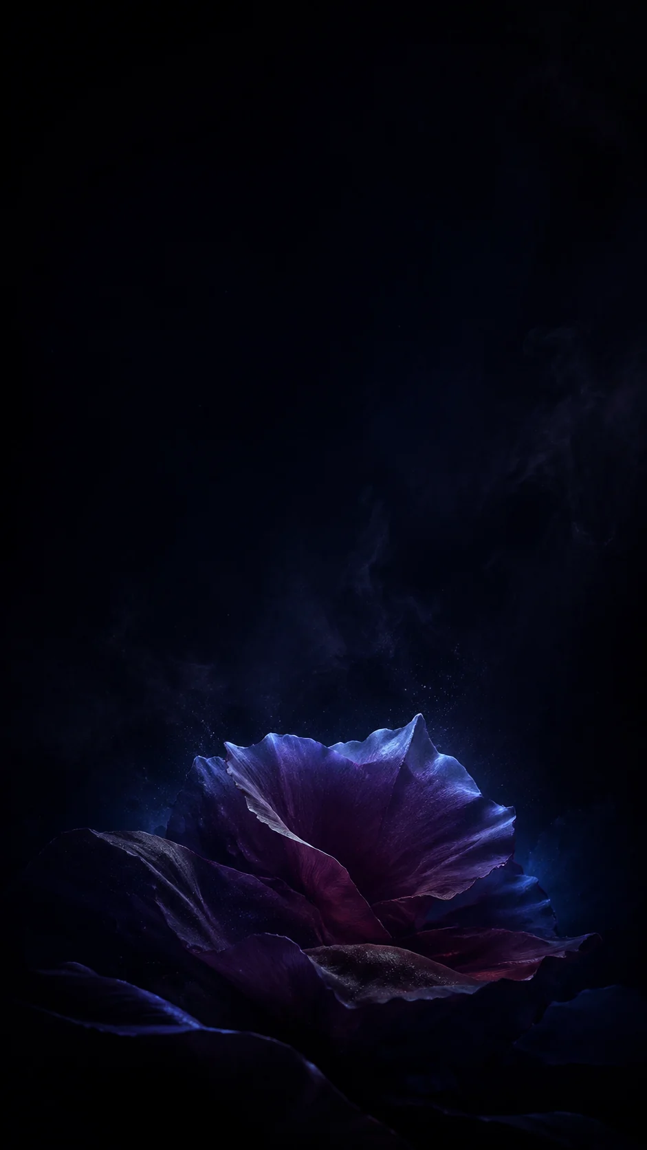 主体下移的深梅色与午夜蓝星云花瓣手机壁纸，底部有更强纵深而顶部保持纯净留白