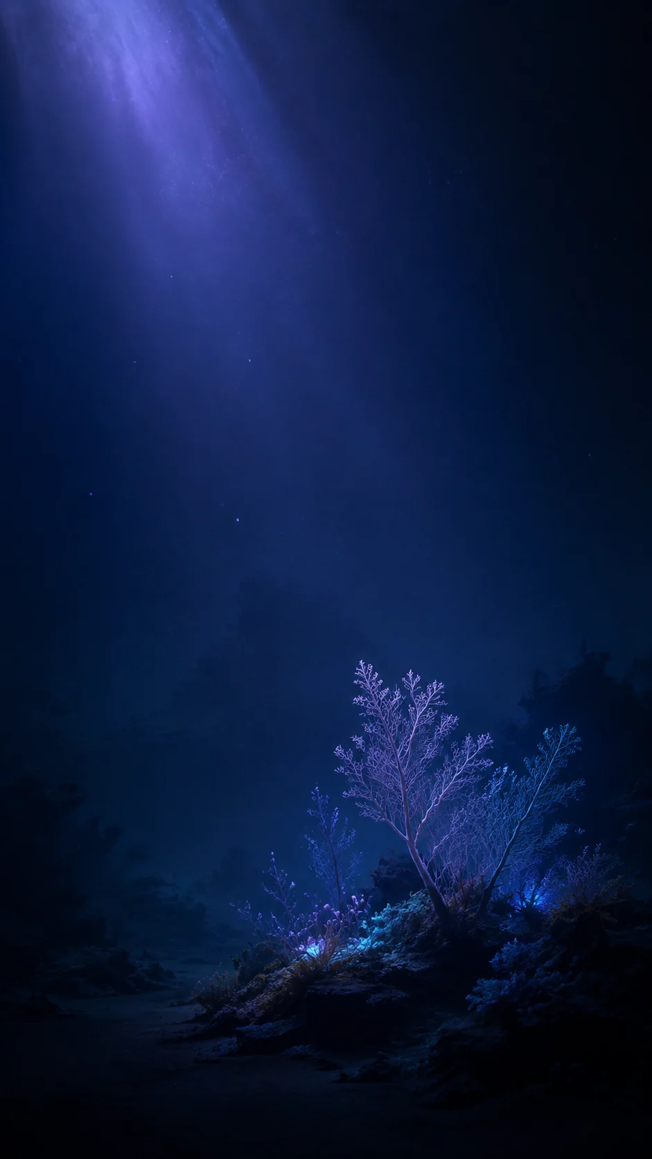 深海荧光珊瑚壁纸怎么生成低亮度锁屏背景